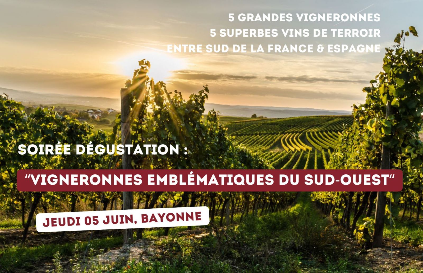 Soirée dégustation : "Vigneronnes emblématique ...