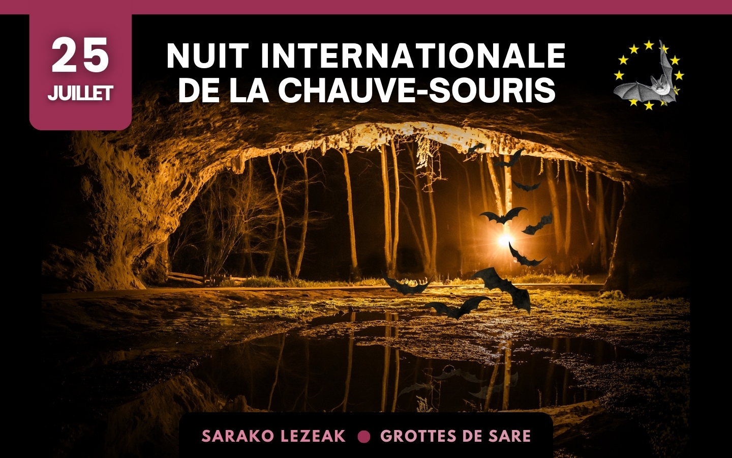 Nuit internationale de la chauve-souris 2025