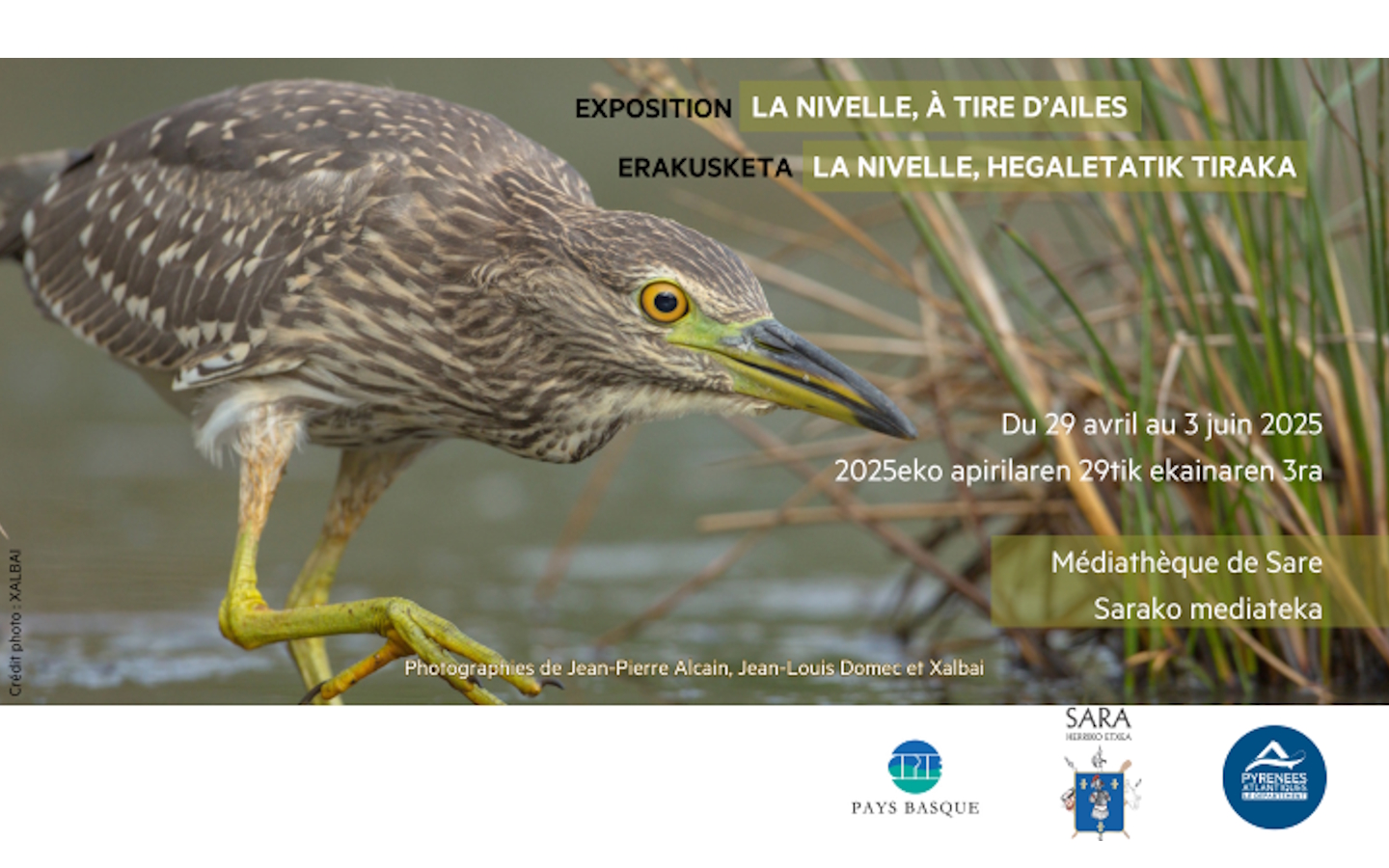 La Nivelle, à tirs d'ailes