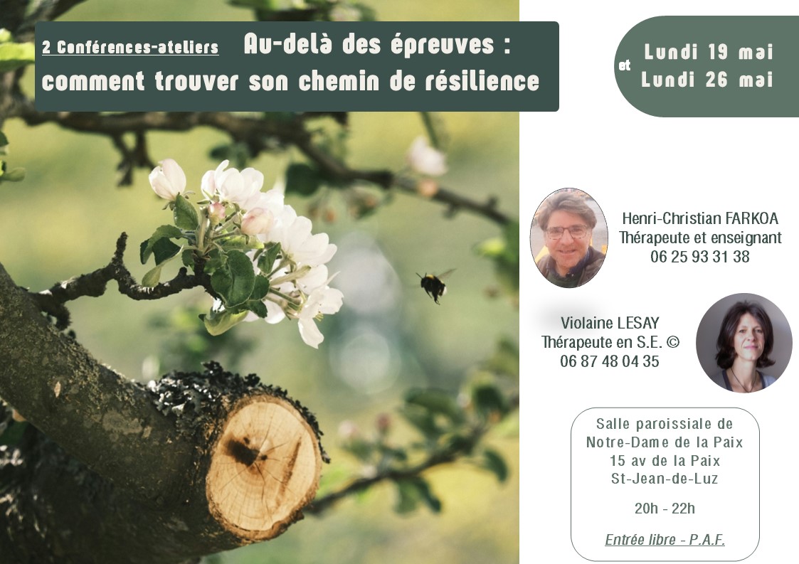 Au-delà des épreuves : comment trouver son che ...
