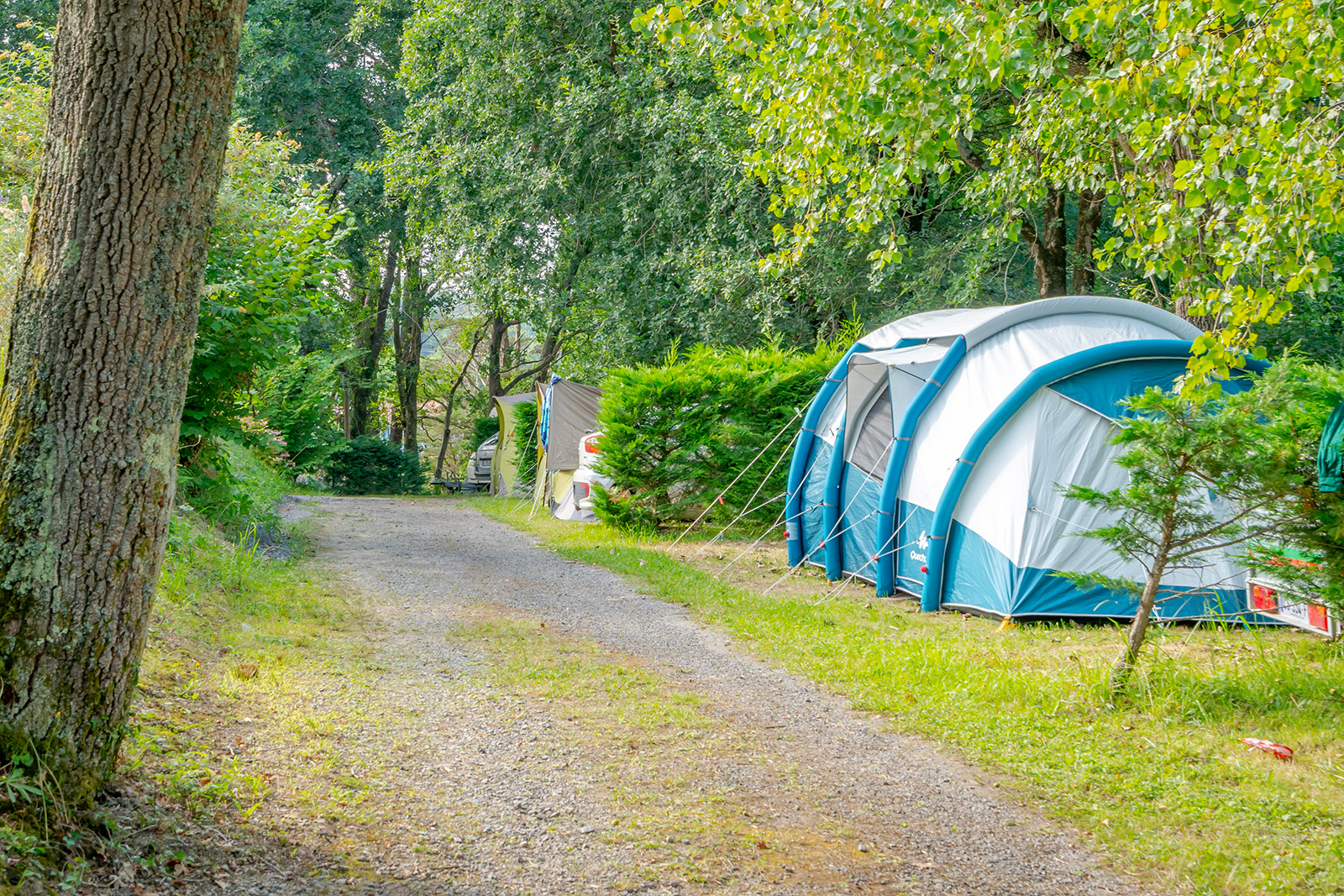 Camping Suhiberry