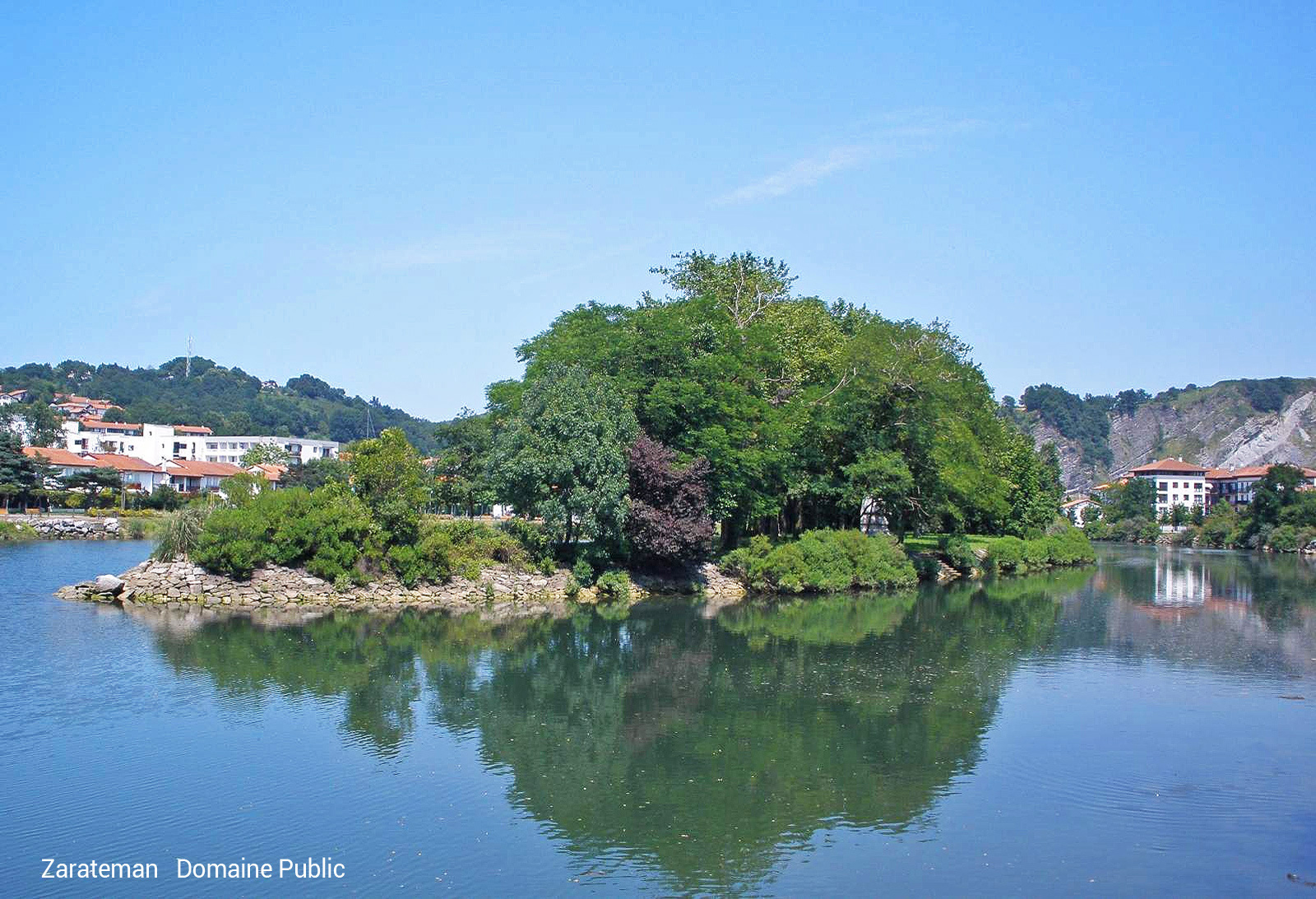 Ile de la Conférence (ou Ile des Faisans)