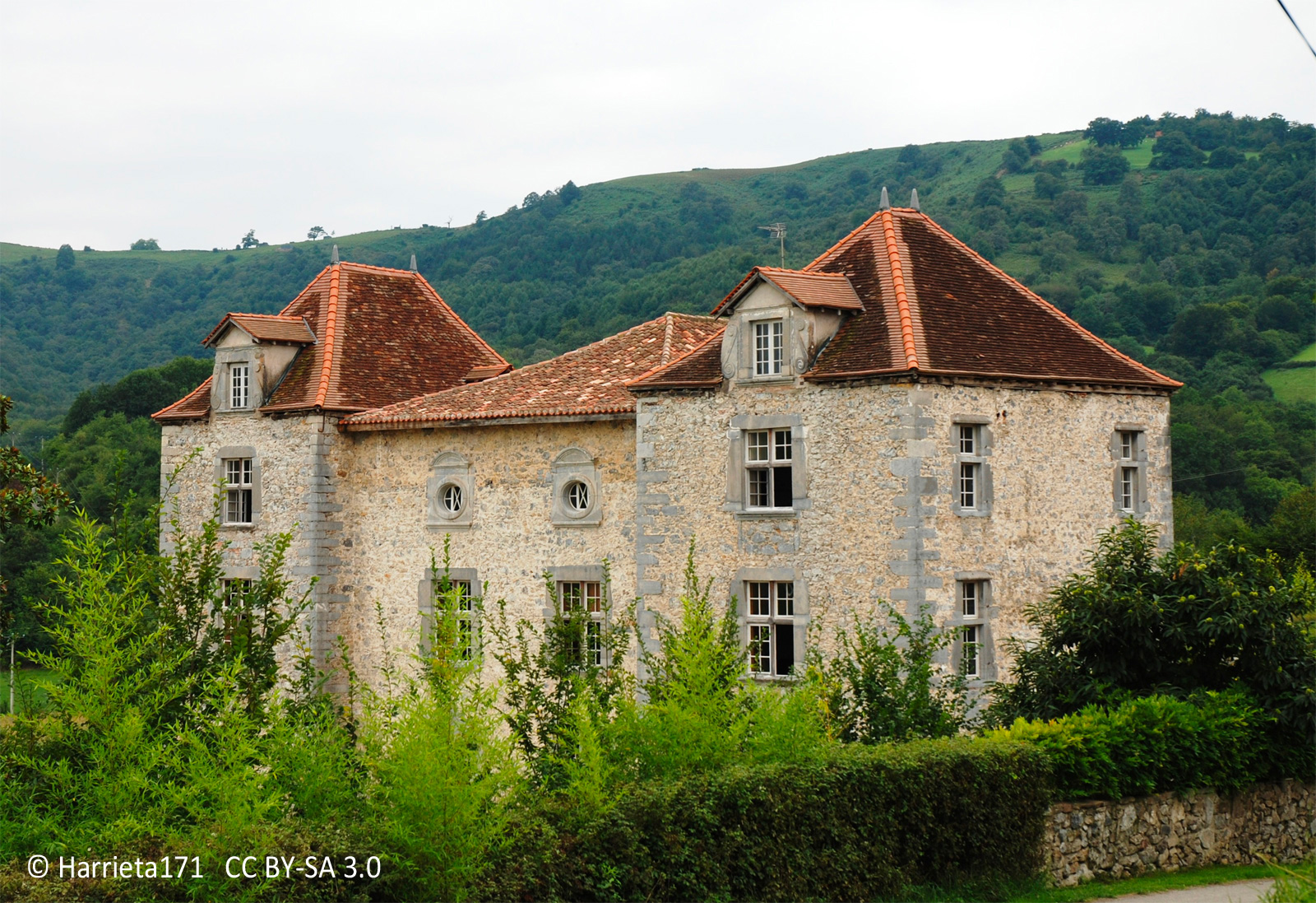 Castillo de Olce